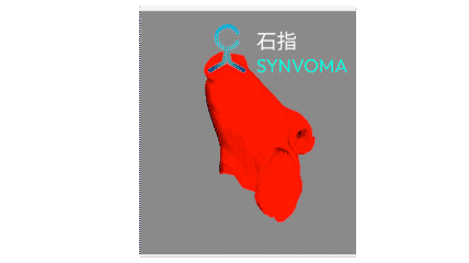 左房心肌纤维